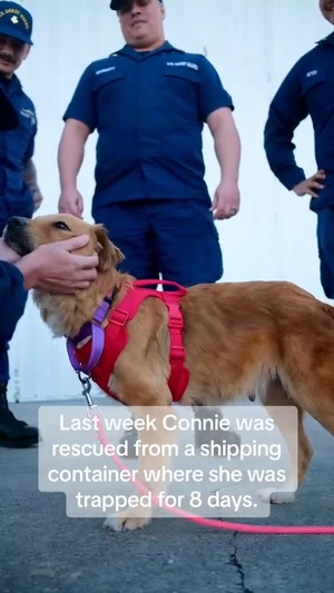Coast Guard members reunite with dog they rescued