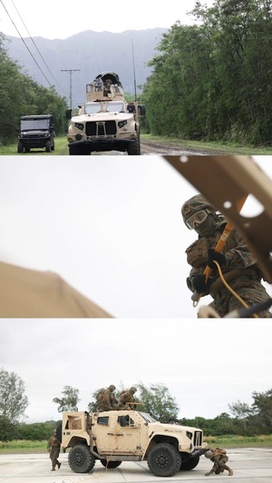 3d LLB conducts Helicopter Support Team Training at MCTAB