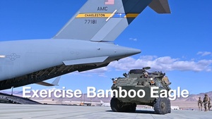 Bamboo Eagle 24-1