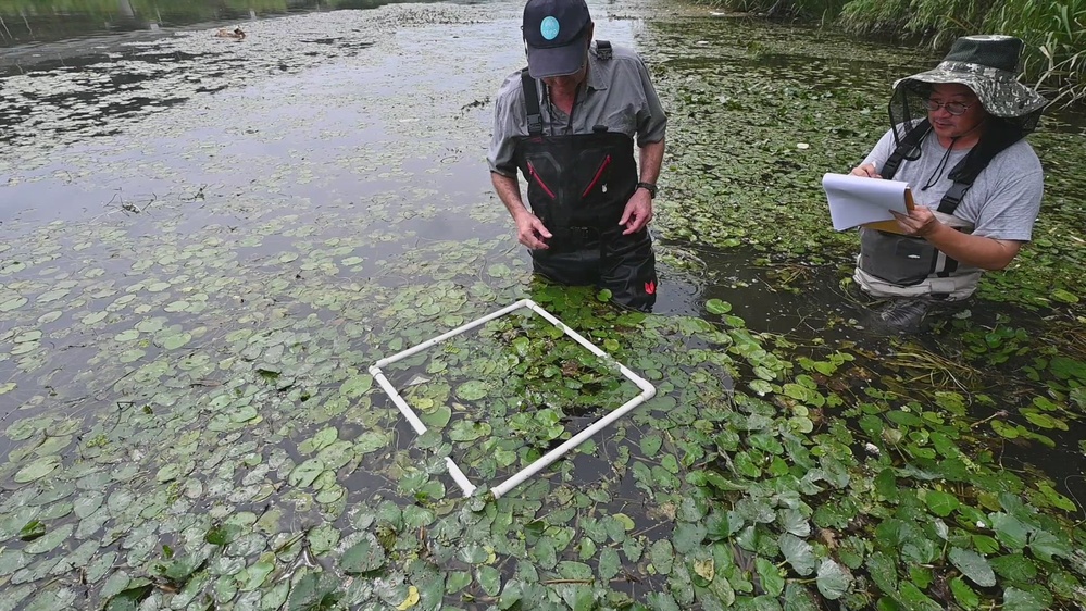 DVIDS Video Aquatic Plant Control Research Program International Biocontrol Collaboration