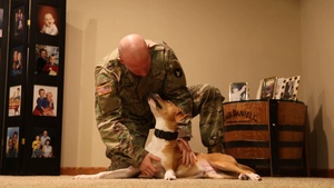 Iowa National Guard Soldier's dog competes in Puppy Bowl XX