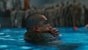 Becoming Amphibious