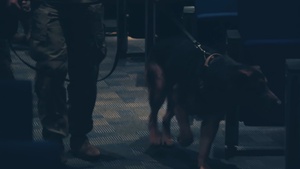 MWD Lex Retirement