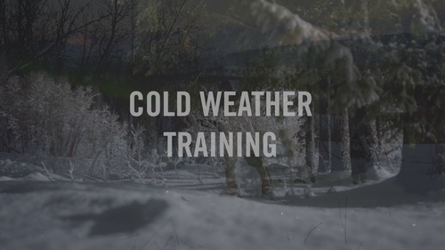 1st Battalion, 2d Marine Regiment Conducts Cold Weather Training in Norway during Nordic Response 24