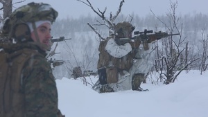 1st Battalion, 2d Marine Regiment Conducts Platoon Attacks (B-Roll)