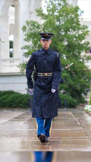 Sentinels Stand Watch at The Tomb of the Unknown Soldier