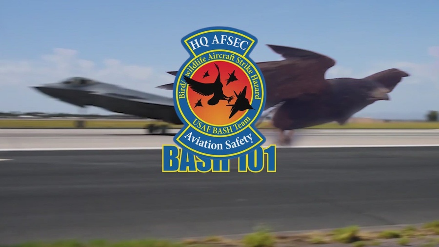 Bird/Wildlife Aircraft Strike Hazard