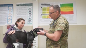 USAR veterinarians supplement functions in Vilseck Veterinary Clinic