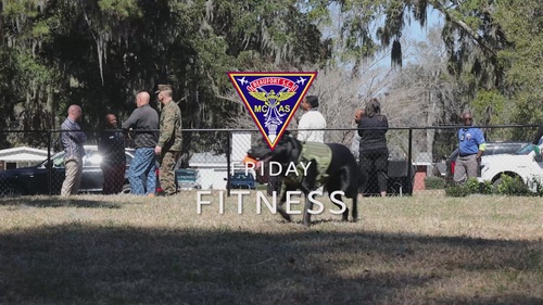 Friday Fitness: Laurel Bay Dog Park