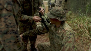 31st MEU and ARDB conduct tactical combat casualty care training