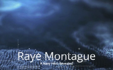 Raye Montague: A Navy Hero Revealed - Wisdom and Advice