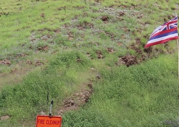 Temporary Debris Storage Site