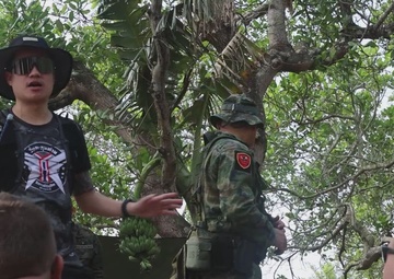 B-Roll: Royal Thai Marines Teach 15th MEU Marines About Jungle Survival