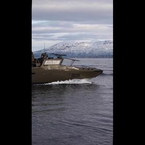 USS Gunston Hall conducts small boat operations with Le Bataillon de Fusiliers Marins (BFM) Détroyat and Swedish and Finnish Marines during Steadfast Defender