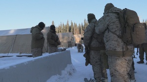 ARCTIC EDGE 2024: Fox 2/14 Marines Conduct Cold Weather Training