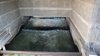 McNary Dam