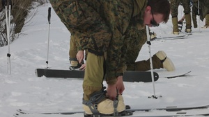 KOREA VIPER 24.1 | 2/7 and Republic of Korea Marines Participates in Skiing and Cold Weather Training
