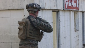 Korea Viper 24.1 | 2/7 and Republic of Korea Marines Urban Operations Training 