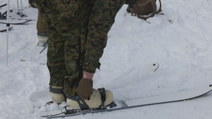 KOREA VIPER 24.1 | 2/7 Participates in Skiing and Cold Weather Training  
