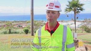 John Daves spotlight
