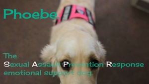 Meet Phoebe, the SAPR emotional support dog