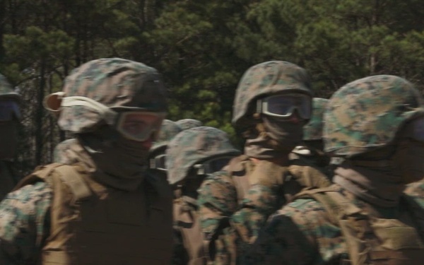 U.S. Marines utilize CH-53K King Stallion for HST exercise