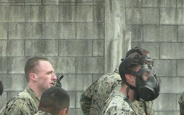 Marines and Soldiers participate in Warrior Shield 24 Gas Chamber Training