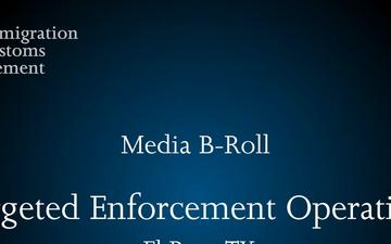 ICE arrests 216 noncitizens with drug-related convictions during nationwide law enforcement effort