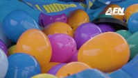 InFocus - 2024 Egg-Stravaganza