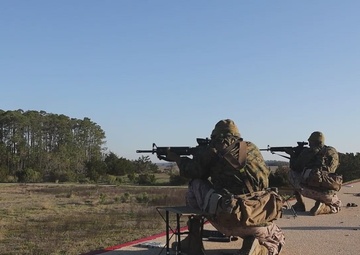 Delta Company Table One