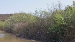 From Base to Habitat: Conservation on MCAS Miramar