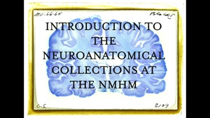 Neurology Video