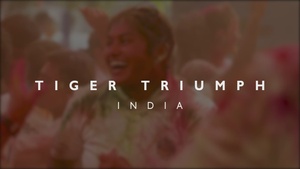 Tiger TRIUMPH 24