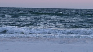 Preserving wildlife on Tyndall Air Force Base beaches