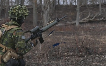 38 Canadian Brigade Group Conducts Exercise Sure-Shot at Camp Ripley