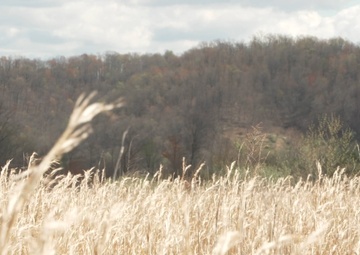 130th Prime Beef at Camp Branch