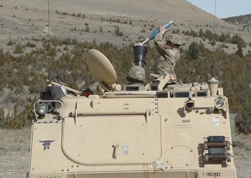Montana and Idaho Soldiers combine efforts during mortar live fire