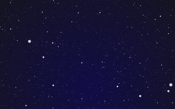 Silent Auction April 2024