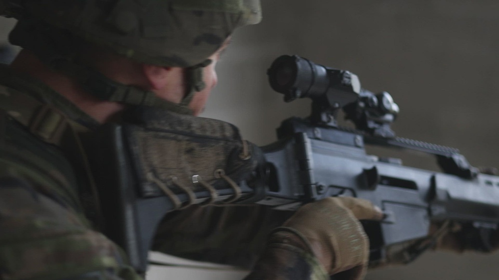 সাবের স্ট্রাইক 24: একটি বহুপাক্ষিক ন্যাটো মহড়