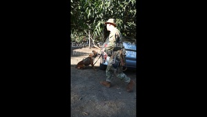 Balikatan 24 - Military Working Dogs