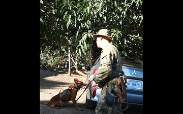 Balikatan 24 - Military Working Dogs