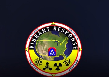 Task Force Operations Role in Vibrant Response