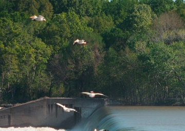 Demopolis Lock and Dam Repairs B-Roll Package Pt. 3