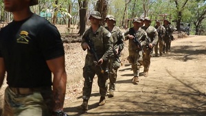 Balikatan 24: Jungle Operations Training Course students conduct jungle patrol operations and practical exercises