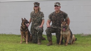 Camp Lejeune Military Working Dog Handlers