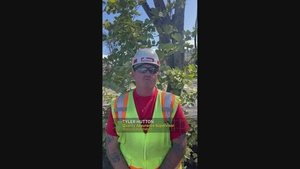 Day in the life of a quality assurance supervisor in Hawai'i