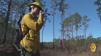 Protecting Our Future: Forestry Supports Training and Wildlife on Camp Lejeune