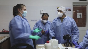 African Lion 24 features forensics training in Bizerte, Tunisia