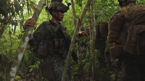B-Roll: MAREX 24: U.S. Marines, Armed Forces of the Philippines engage in jungle operations, live-fire training