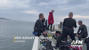 USS Emmons Memorial Dive